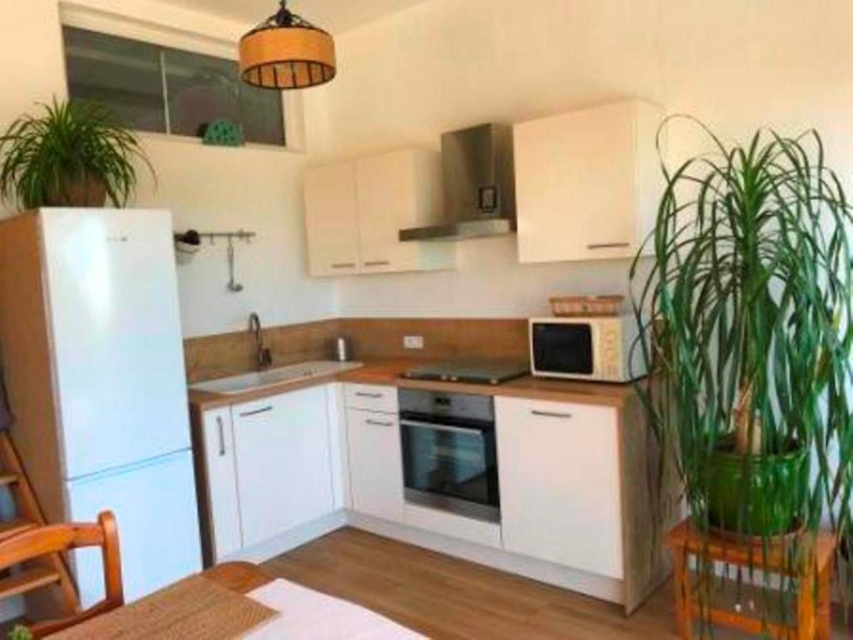 Villa Les Alizes Le Le Rayol-Canadel-sur-Mer Eksteriør billede