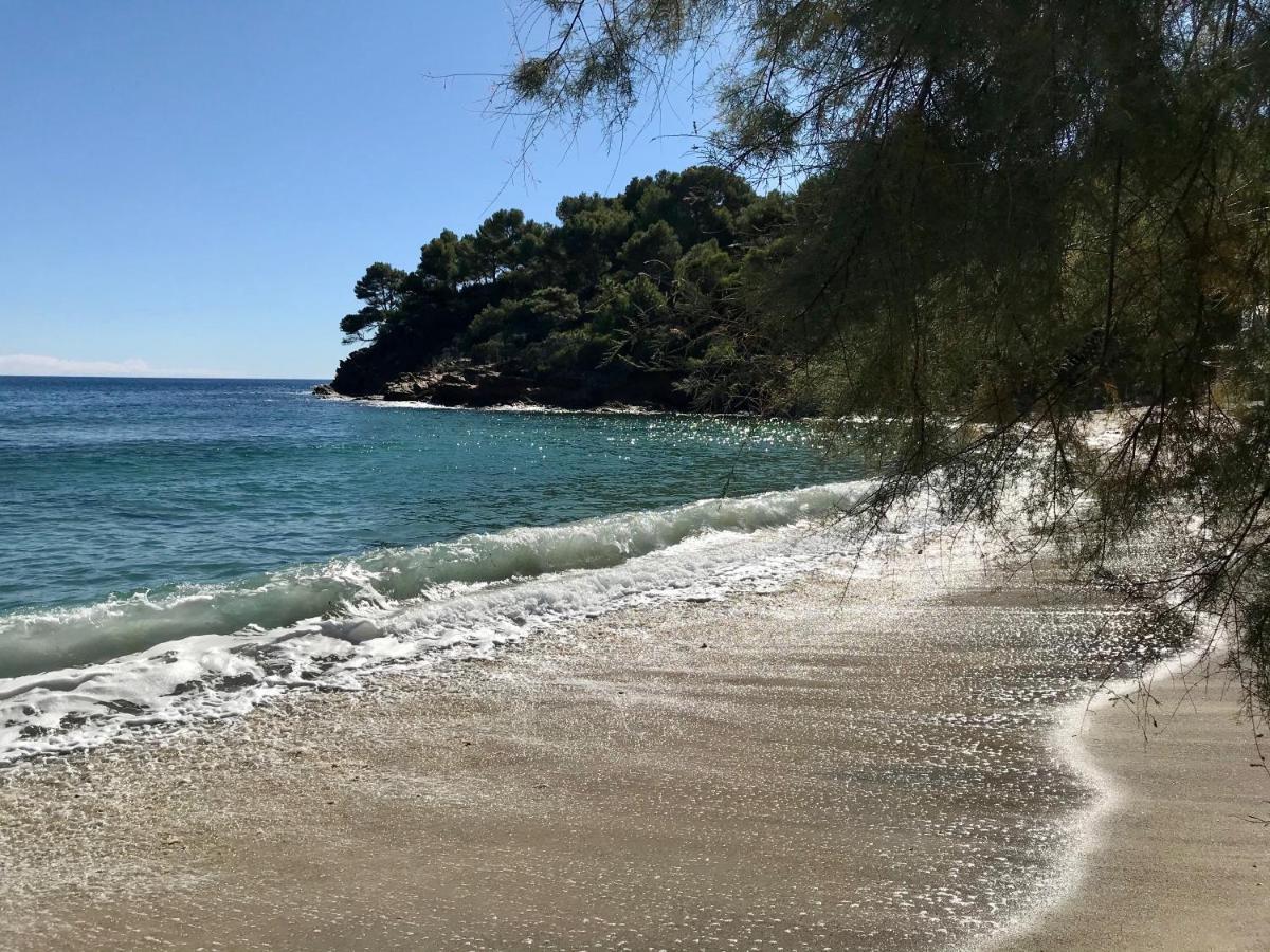 Villa Les Alizes Le Le Rayol-Canadel-sur-Mer Eksteriør billede