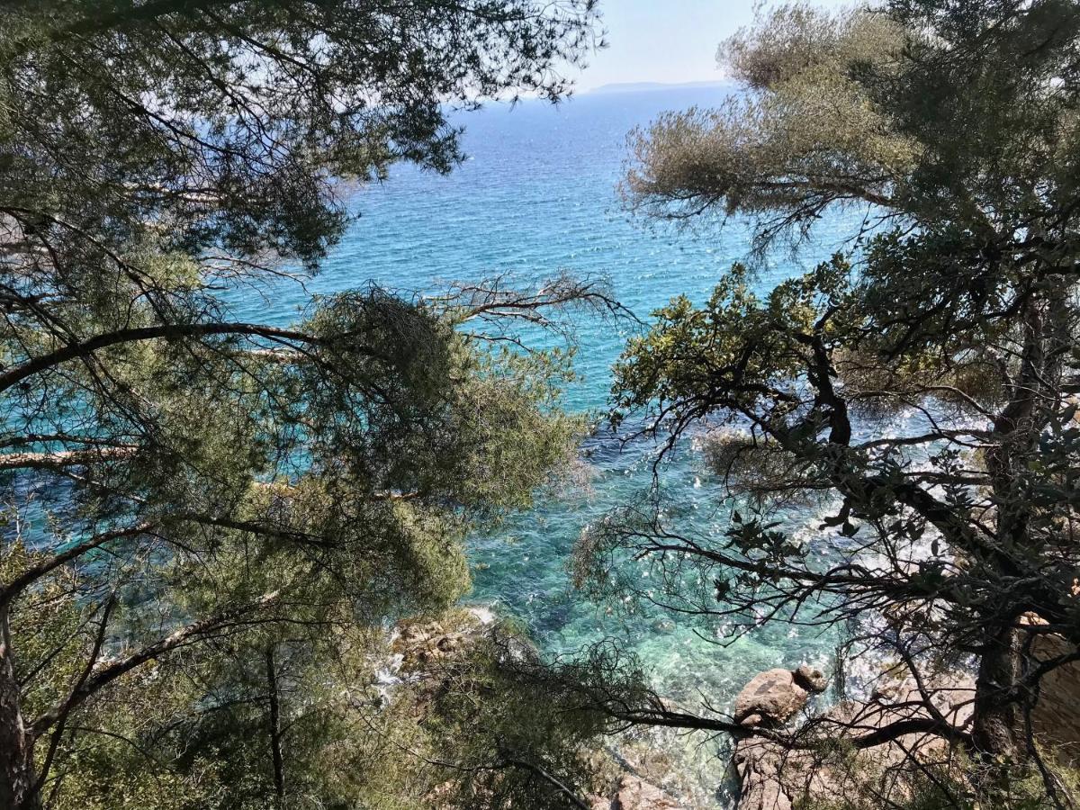 Villa Les Alizes Le Le Rayol-Canadel-sur-Mer Eksteriør billede