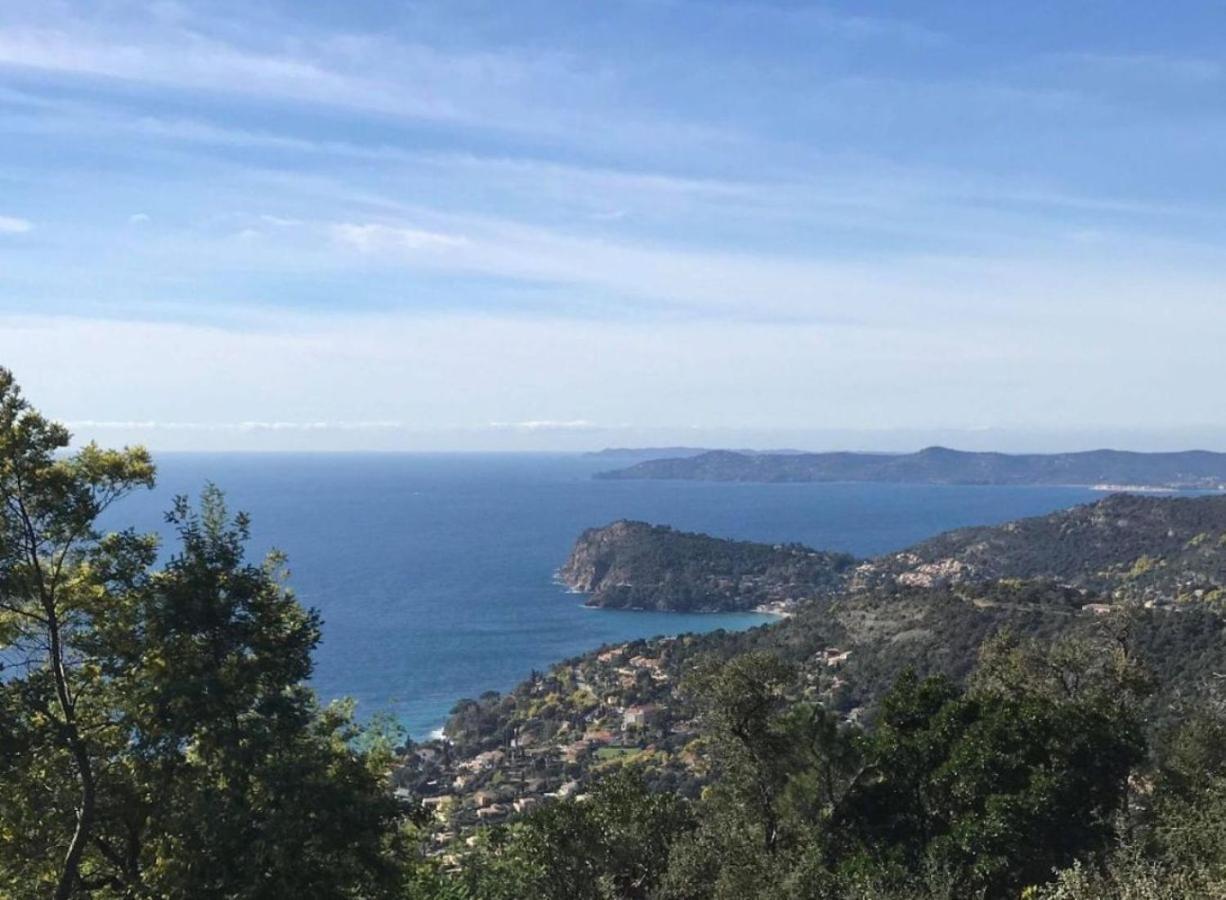 Villa Les Alizes Le Le Rayol-Canadel-sur-Mer Eksteriør billede