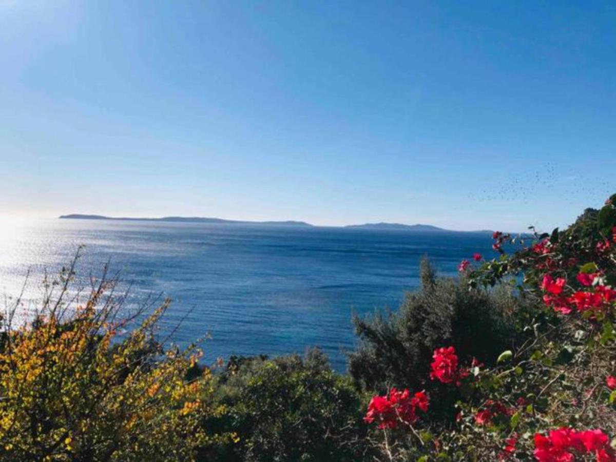 Villa Les Alizes Le Le Rayol-Canadel-sur-Mer Eksteriør billede