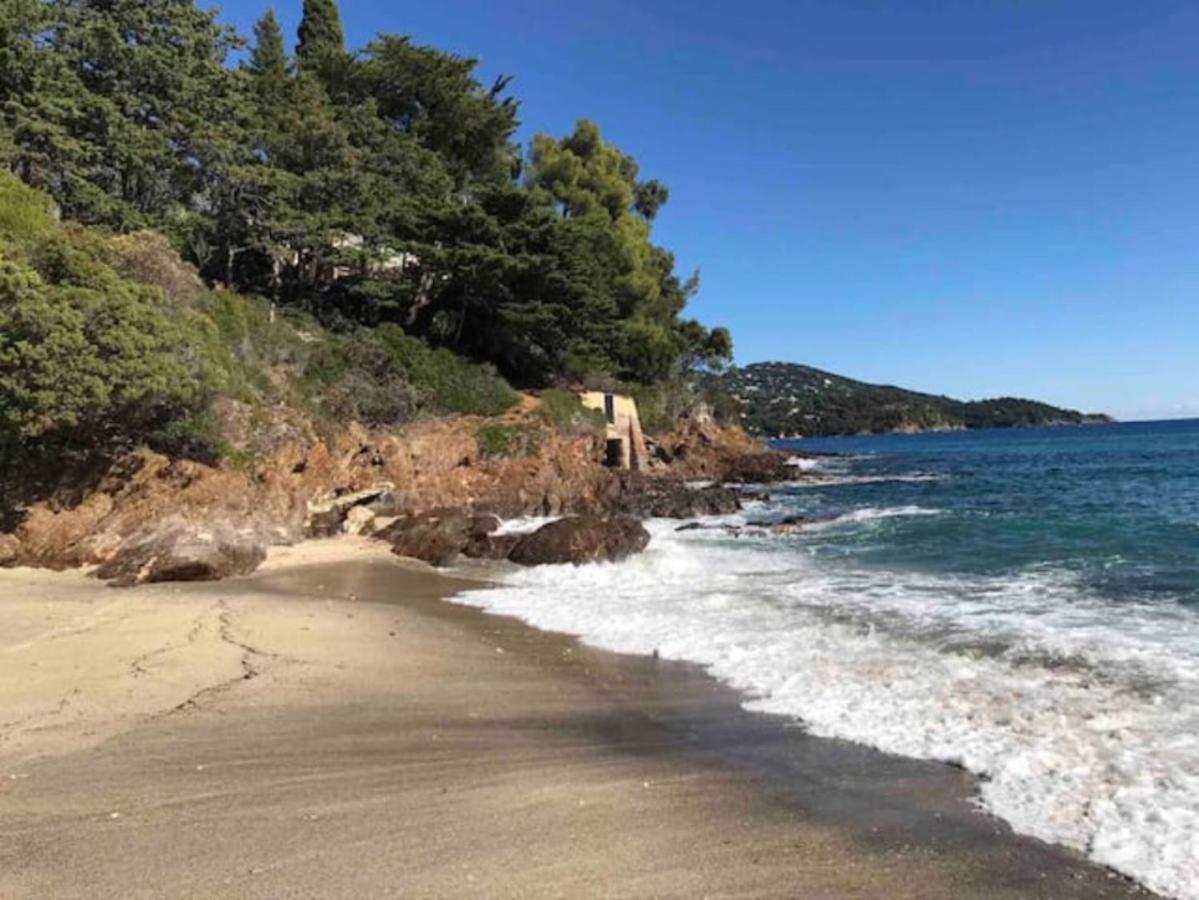 Villa Les Alizes Le Le Rayol-Canadel-sur-Mer Eksteriør billede