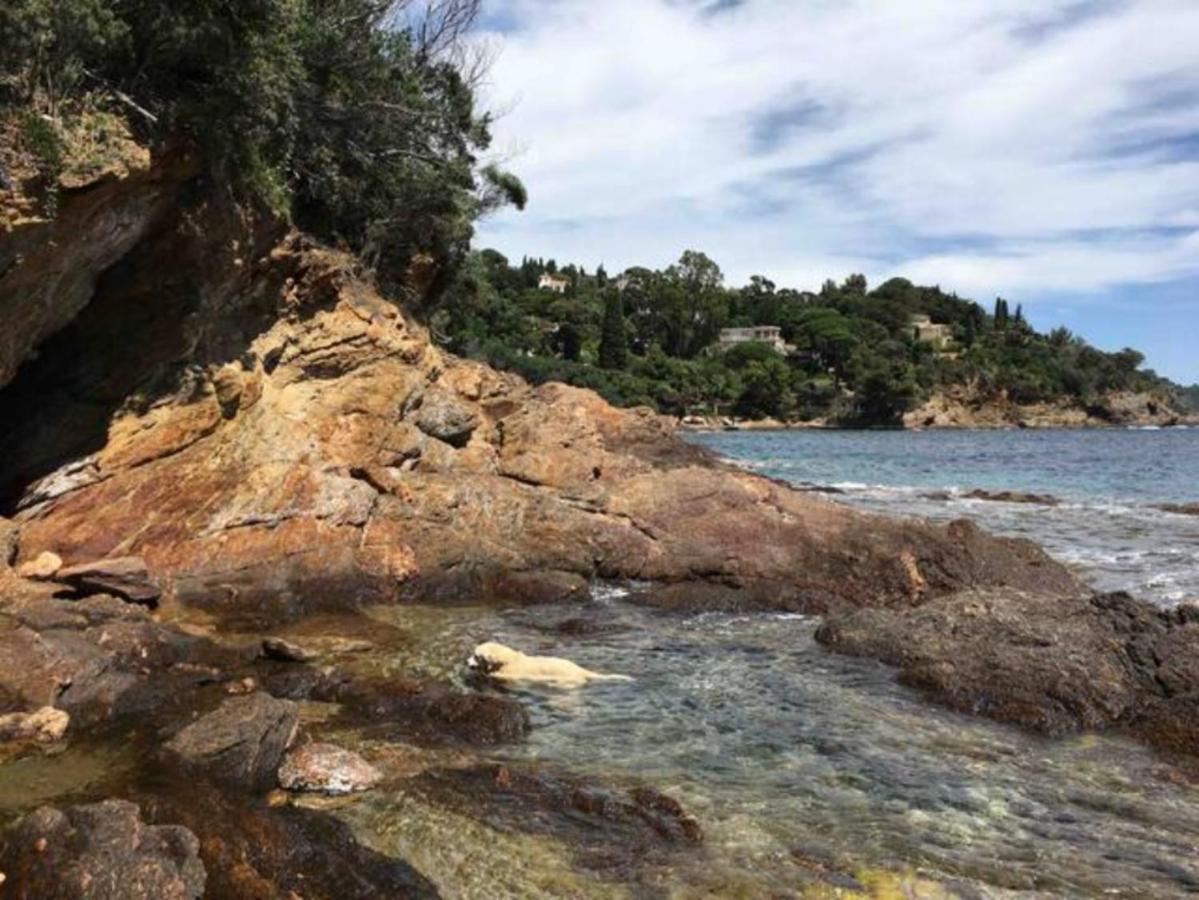 Villa Les Alizes Le Le Rayol-Canadel-sur-Mer Eksteriør billede