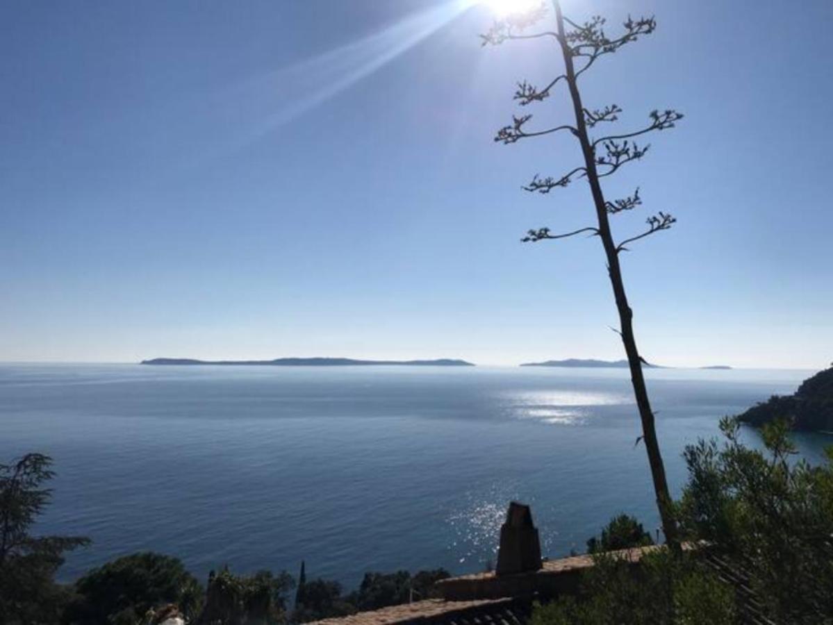 Villa Les Alizes Le Le Rayol-Canadel-sur-Mer Eksteriør billede