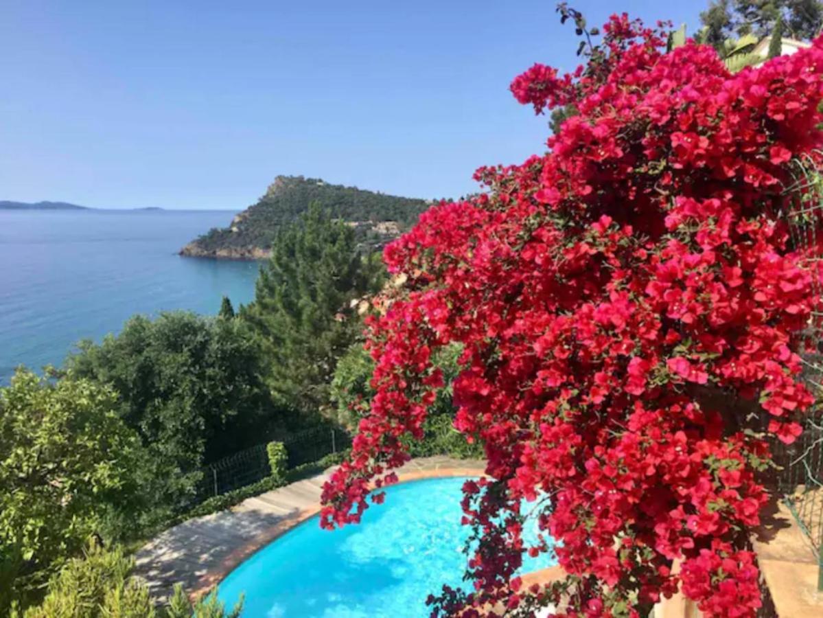 Villa Les Alizes Le Le Rayol-Canadel-sur-Mer Eksteriør billede