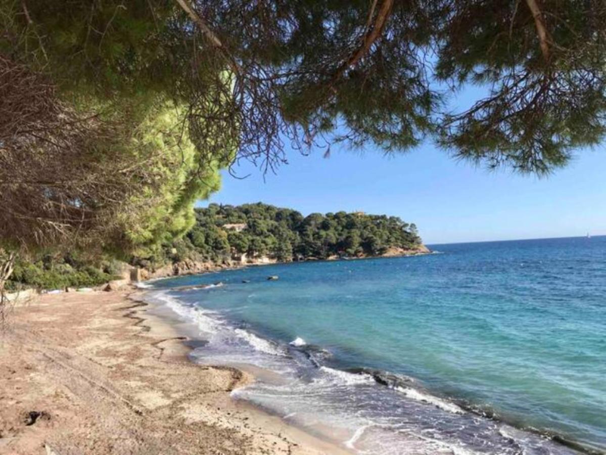 Villa Les Alizes Le Le Rayol-Canadel-sur-Mer Eksteriør billede