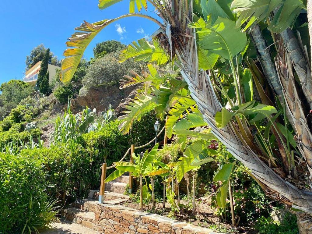 Villa Les Alizes Le Le Rayol-Canadel-sur-Mer Eksteriør billede