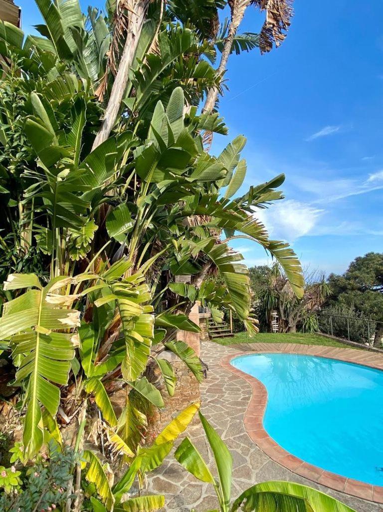 Villa Les Alizes Le Le Rayol-Canadel-sur-Mer Eksteriør billede