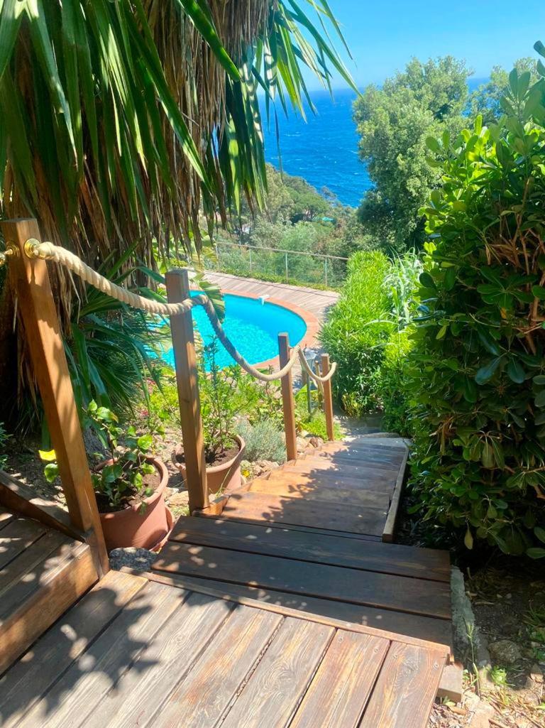 Villa Les Alizes Le Le Rayol-Canadel-sur-Mer Eksteriør billede